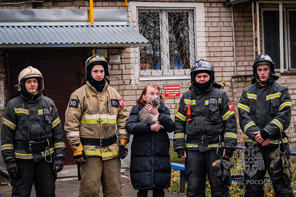 В Иванове пожарные спасли кота